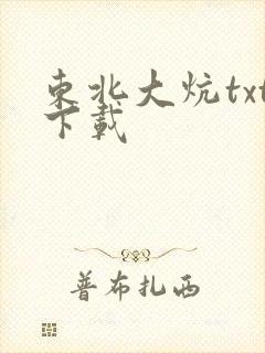 东北大炕txt下载