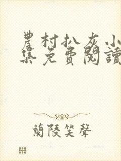 农村扒灰小说全集免费阅读封面