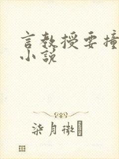 言教授要撞坏了小说