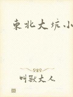 东北大坑小说