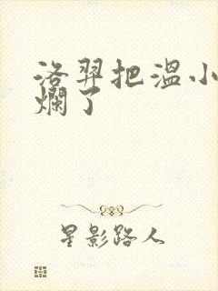 洛羿把温小辉做烂了封面