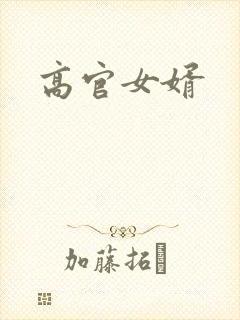 高官女婿