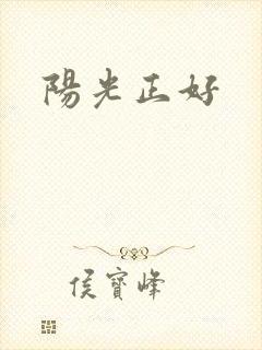 阳光正好封面