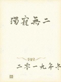 独宠无二封面