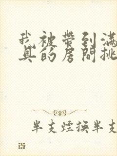 我被带到满是玩具的房间挑调作文