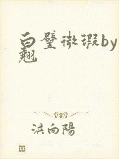 白璧微瑕by连翘封面