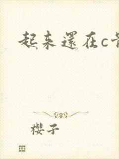 起来还在c骨科