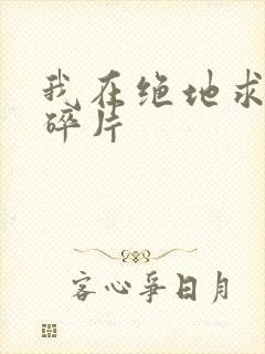 我在绝地求生捡碎片封面