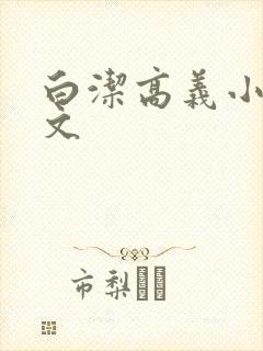 白洁高义小说全文封面