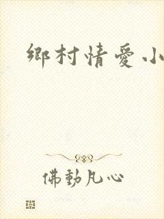 乡村情爱小说
