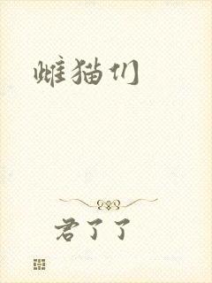 雌猫们