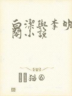 白洁与李明笔趣阁小说封面