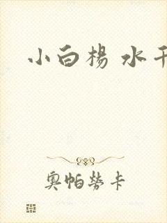 小白杨 水千丞封面