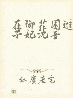 在御花园进入太子妃沈音