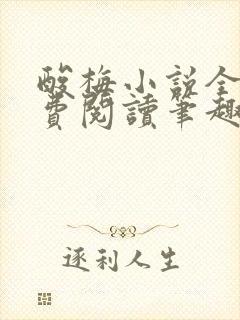 酸梅小说全文免费阅读笔趣阁封面