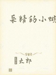 采精的小蝴蝶