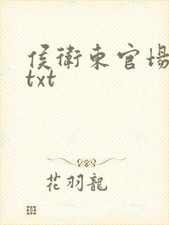 侯卫东官场笔记txt