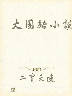 大团结小说阅读