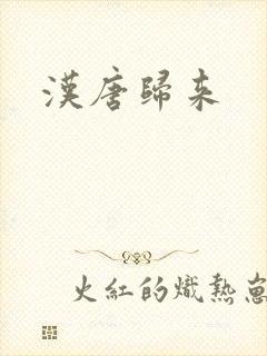汉唐归来封面