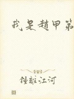 我是赵甲第小说封面
