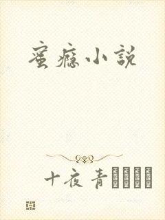 蜜瘾小说