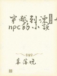 穿越到湮婸世界npc的小说