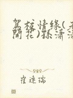 驾校情缘(老树开花)孙潇潇第一次趣笔阁