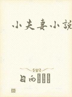 小夫妻小说