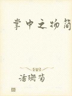 掌中之物简介封面