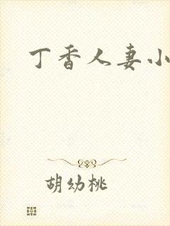 丁香人妻小说