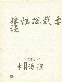 狼性总裁要够了没封面