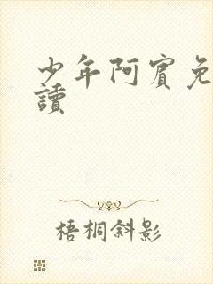 少年阿宾免费阅读