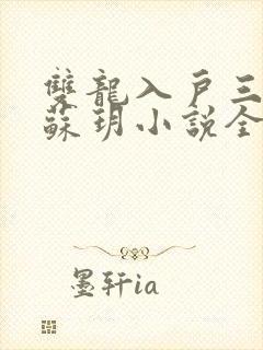 双龙入户三人行苏玥小说全文阅读封面