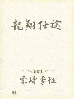 龙翔仕途