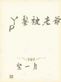 丫鬟被老爷玩NP