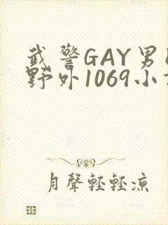 武警GAY男同野外1069小说封面
