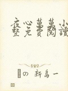 夜心万万小说完整免费阅读全文