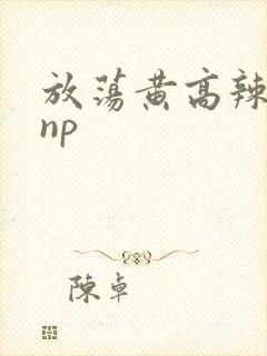 放荡黄高辣h文np