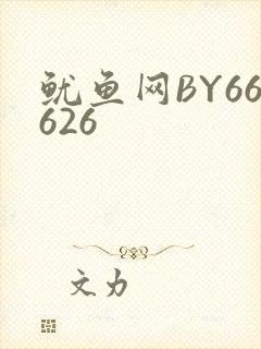 鱿鱼网BY66626封面