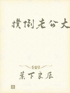 扑倒老公大人封面