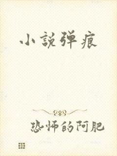 小说弹痕