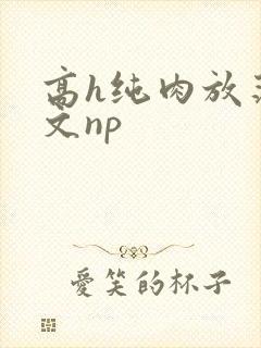 高h纯肉放荡h文np