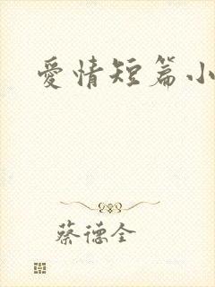 爱情短篇小说封面