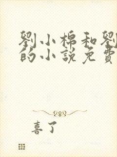 刘小棉和刘易文的小说免费阅读