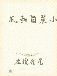 风和日丽小说