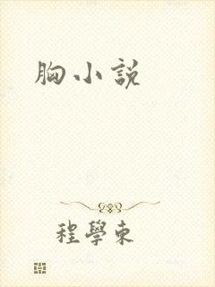 胸小说封面