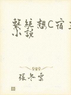 系统想C宿主的小说
