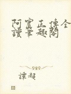 阿宾正传全文阅读笔趣阁