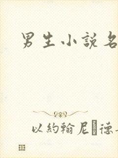 男生小说名字封面