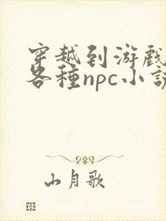 穿越到游戏里和各种npc小说